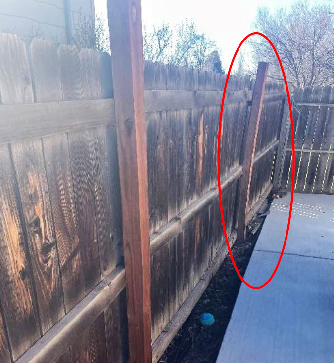 Cedar for Fence Posts Why Other Types of Wood Fall Short