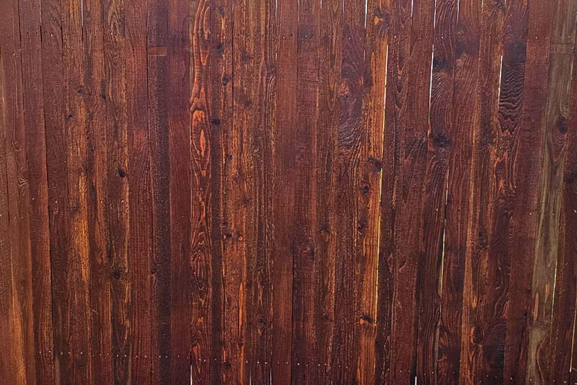 Cedar privacy fence after staining