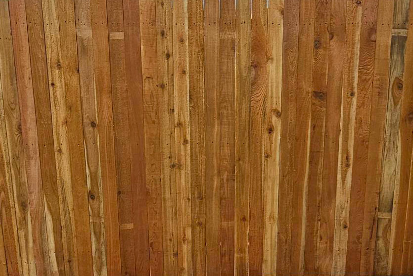 Cedar privacy fence before staining