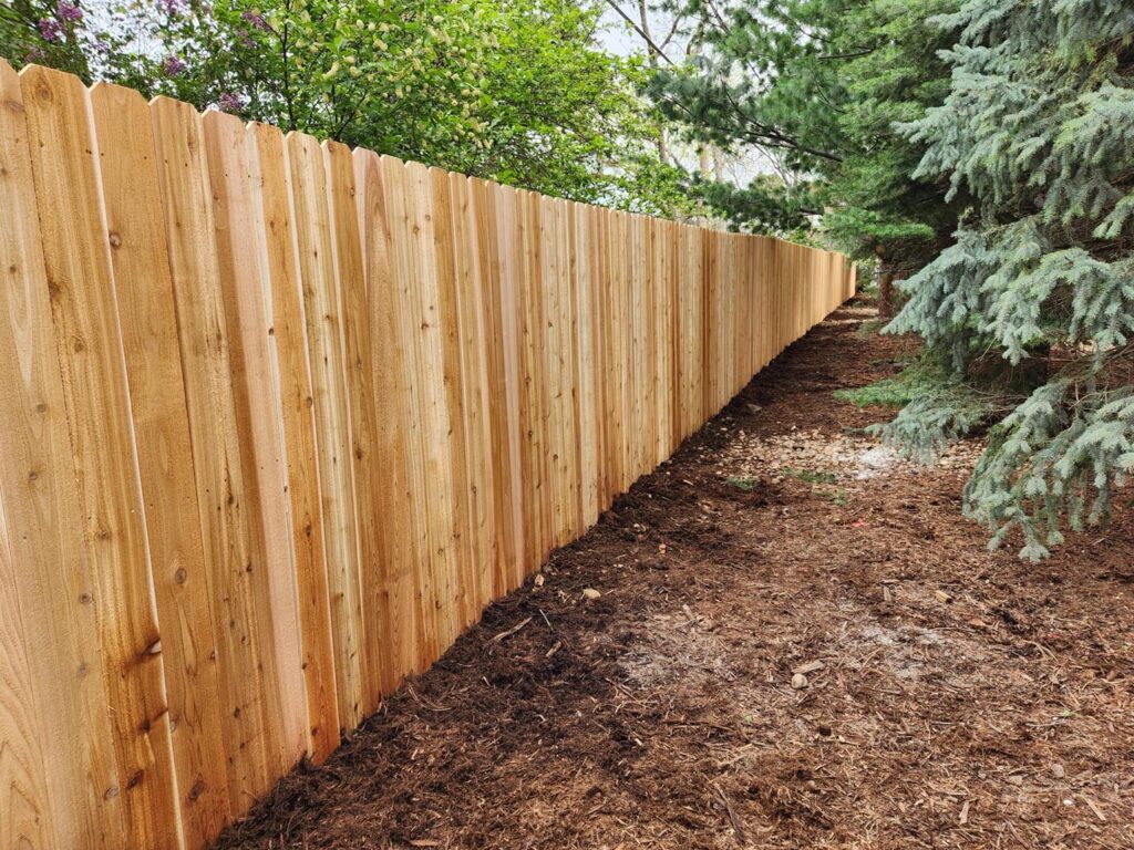cedar fence