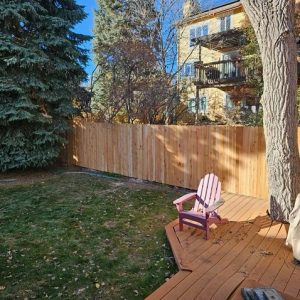 Cedar fence Lakewood