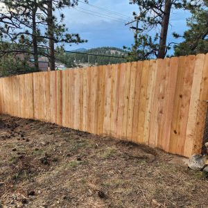 Cedar fence Evergreen