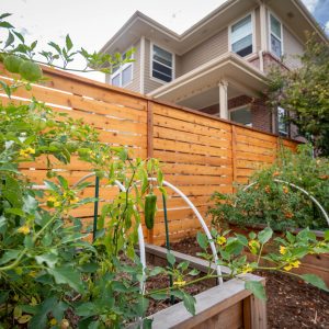 Cedar horizontal fence Central Park Denver