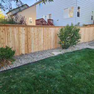 Cedar fence Highlands Ranch