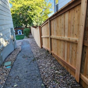 Cedar fence Highlands Ranch