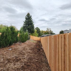 Cedar fence Lakewood