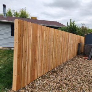 Cedar fence Lakewood