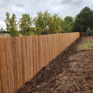 Cedar fence Lakewood