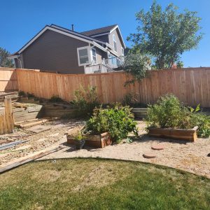 Cedar fence Littleton