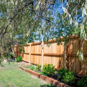 Cedar fence, Broomfield