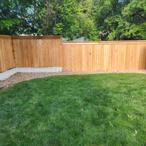 Cedar fence Denver, CO