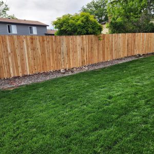 Cedar fence