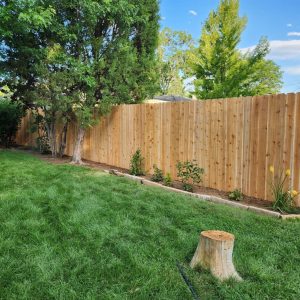 Cedar privacy fence