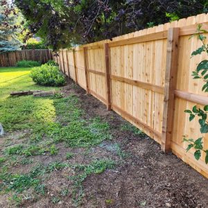 Cedar privacy fence