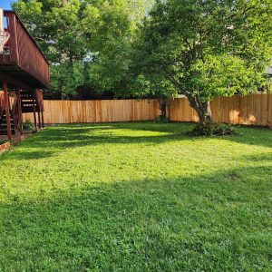 Cedar privacy fence