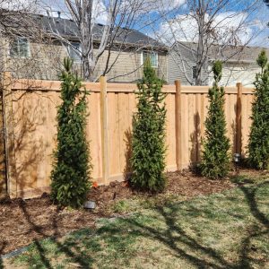Cedar fence Grant Ranch Denver CO