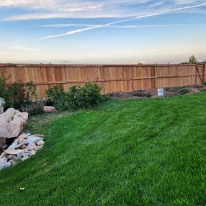 Cedar fence top cap Highlands Ranch CO