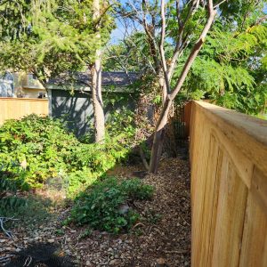 Cedar fence top cap Highlands Ranch CO