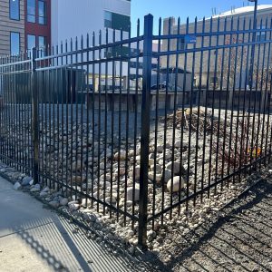 Commercial ornamental iron fence Lakewood