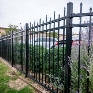 Ornamental iron perimeter fence